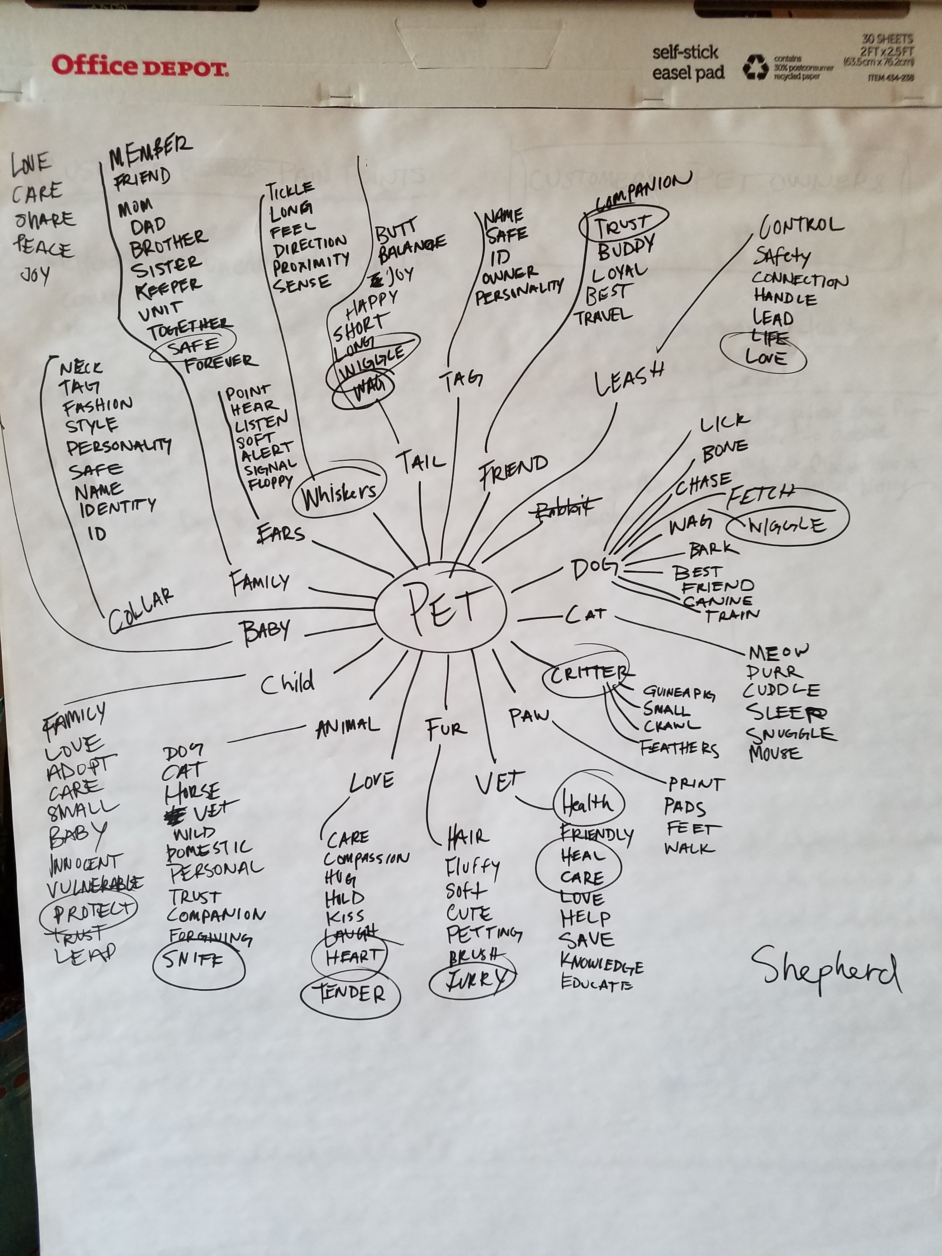 An easel pad covered in handwritten word associations radiating out from the word Pet, with Shepherd written in the corner